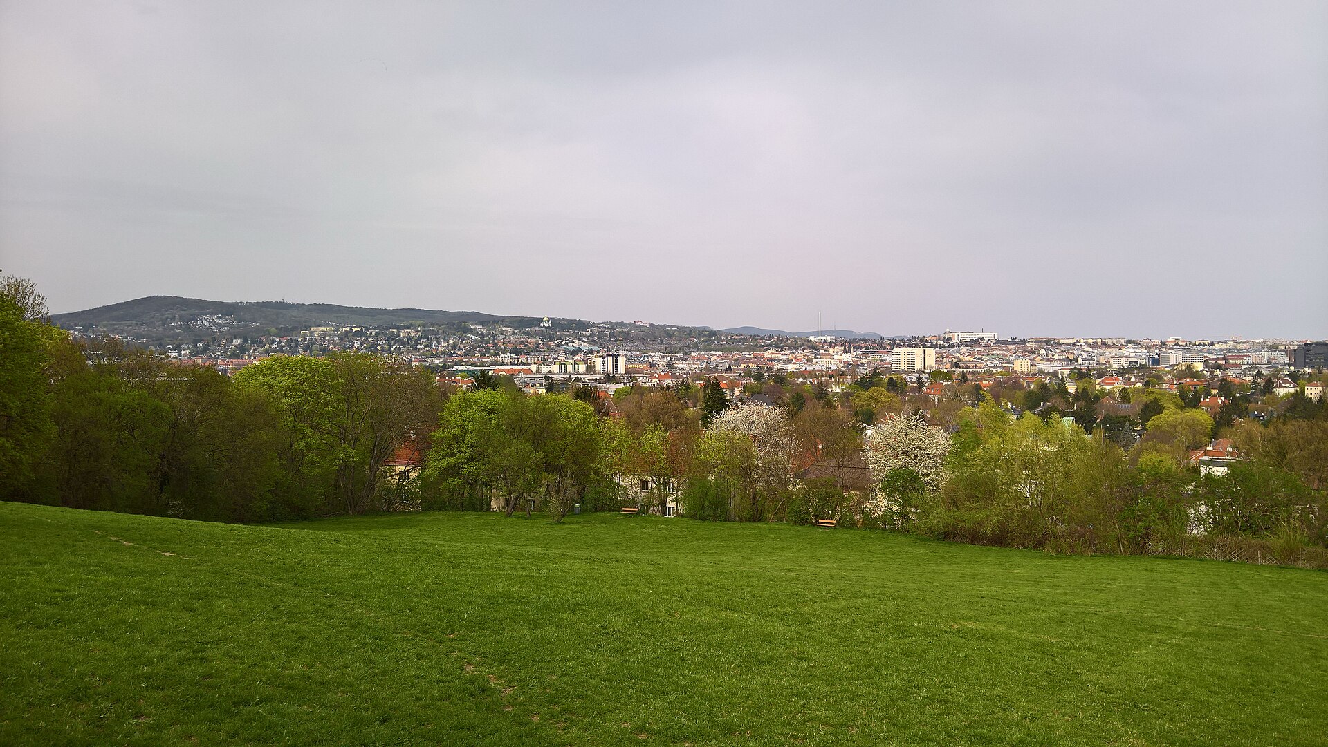 Leckortung 1130 Hietzing